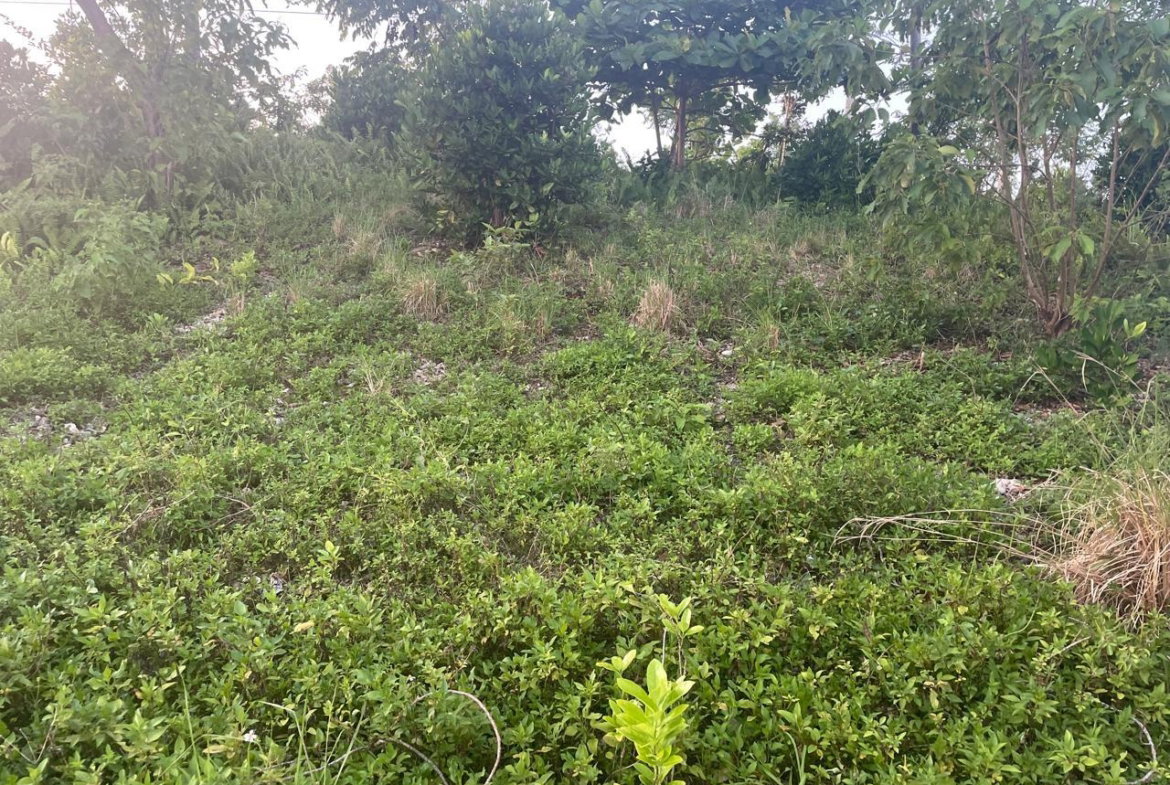 Sixth image of 2 Boundbrook in Stony Hill, Portland, Jamaica - property is For Sale