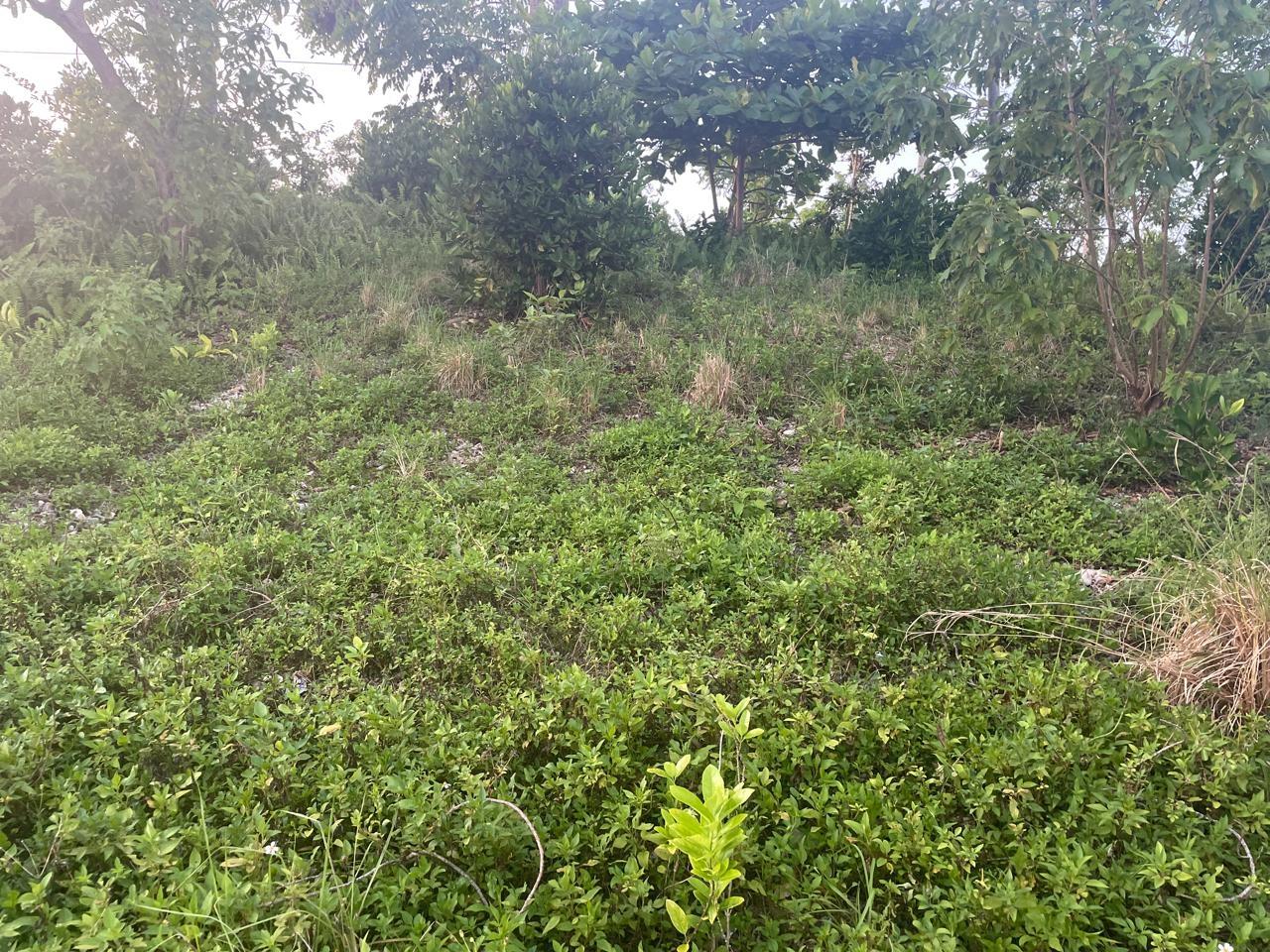 Stunning-16000-sq-ft-Residential-Lot-for-Sale-in-Boundbrook-Jamaica Sixth image of 2 Boundbrook in Stony Hill, Portland, Jamaica - property is For Sale