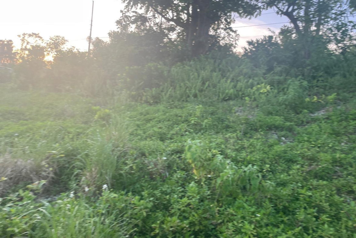 Seventh image of 2 Boundbrook in Stony Hill, Portland, Jamaica - property is For Sale