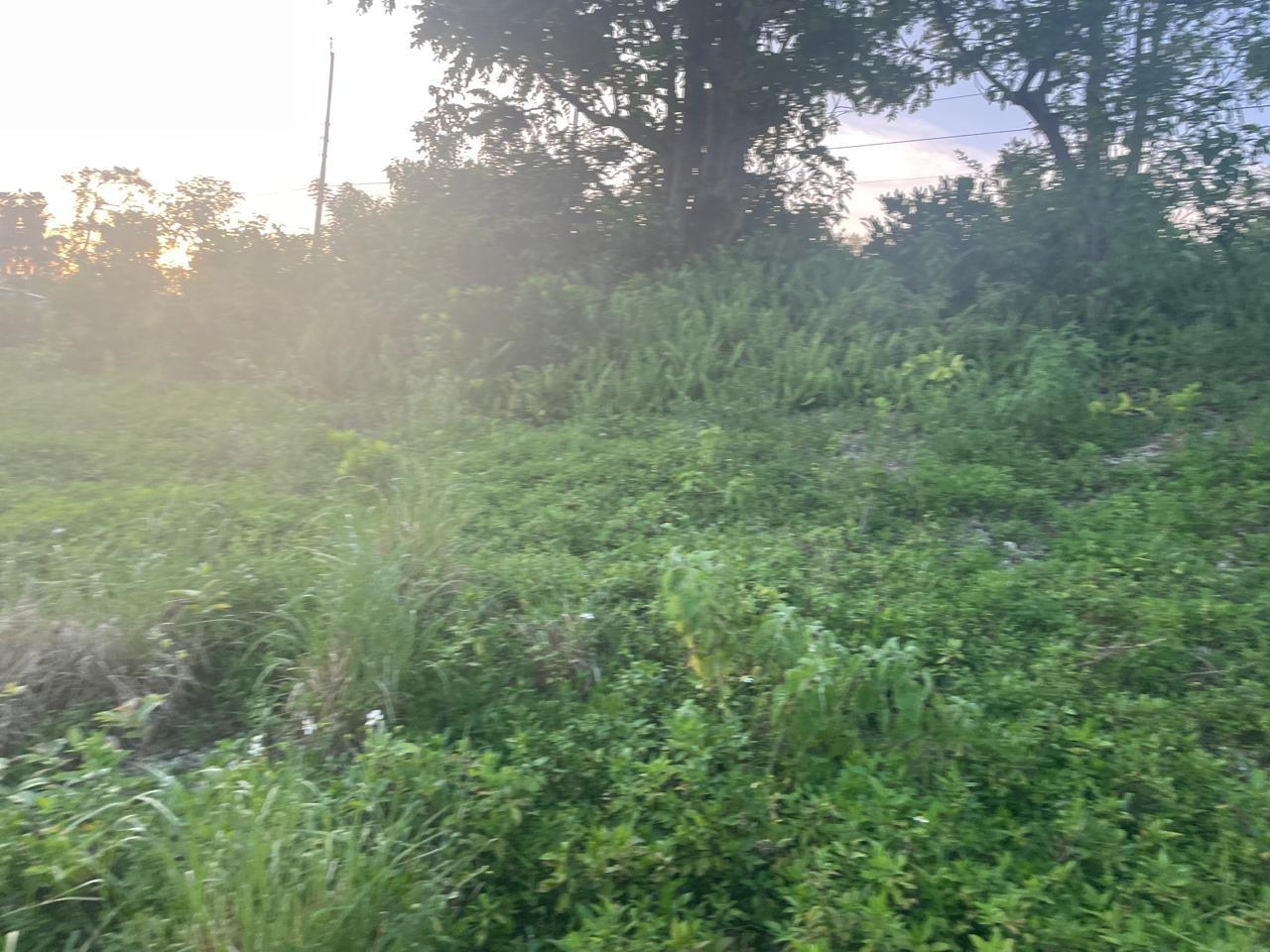 Stunning-16000-sq-ft-Residential-Lot-for-Sale-in-Boundbrook-Jamaica Seventh image of 2 Boundbrook in Stony Hill, Portland, Jamaica - property is For Sale