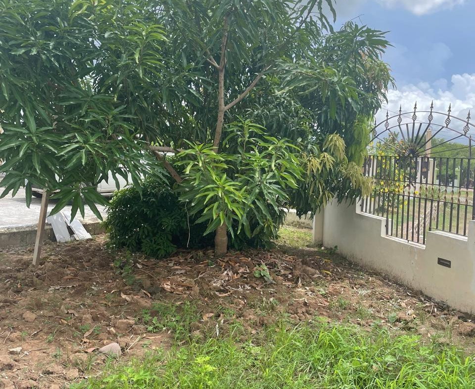 Twentieth image of 7 Glenmuir, May Pen in May Pen, Clarendon, Jamaica - property is For Sale