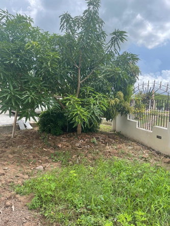 Twentieth image of 7 Glenmuir, May Pen in May Pen, Clarendon, Jamaica - property is For Sale