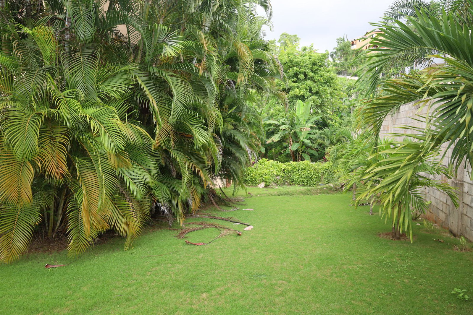 Ninth image of 18 Happy Grove Road in KINGSTON, Kingston, Jamaica - property is For Sale