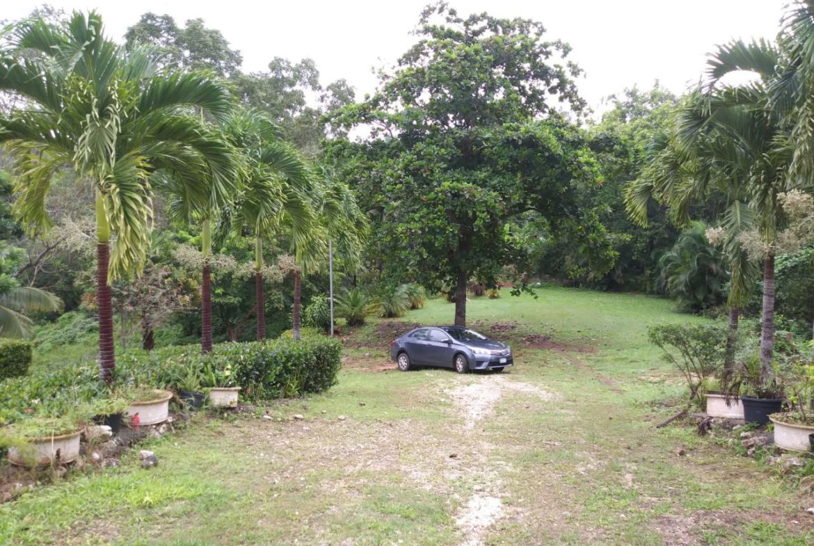 Twenty-Third image of Cedars Mocho in Mocho, Clarendon, Jamaica - property is For Sale
