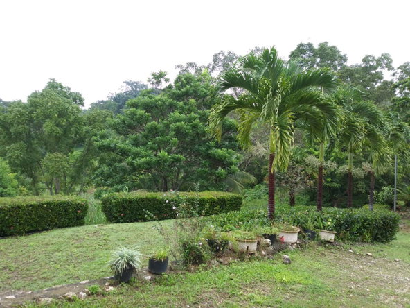 Twenty-Fourth image of Cedars Mocho in Mocho, Clarendon, Jamaica - property is For Sale