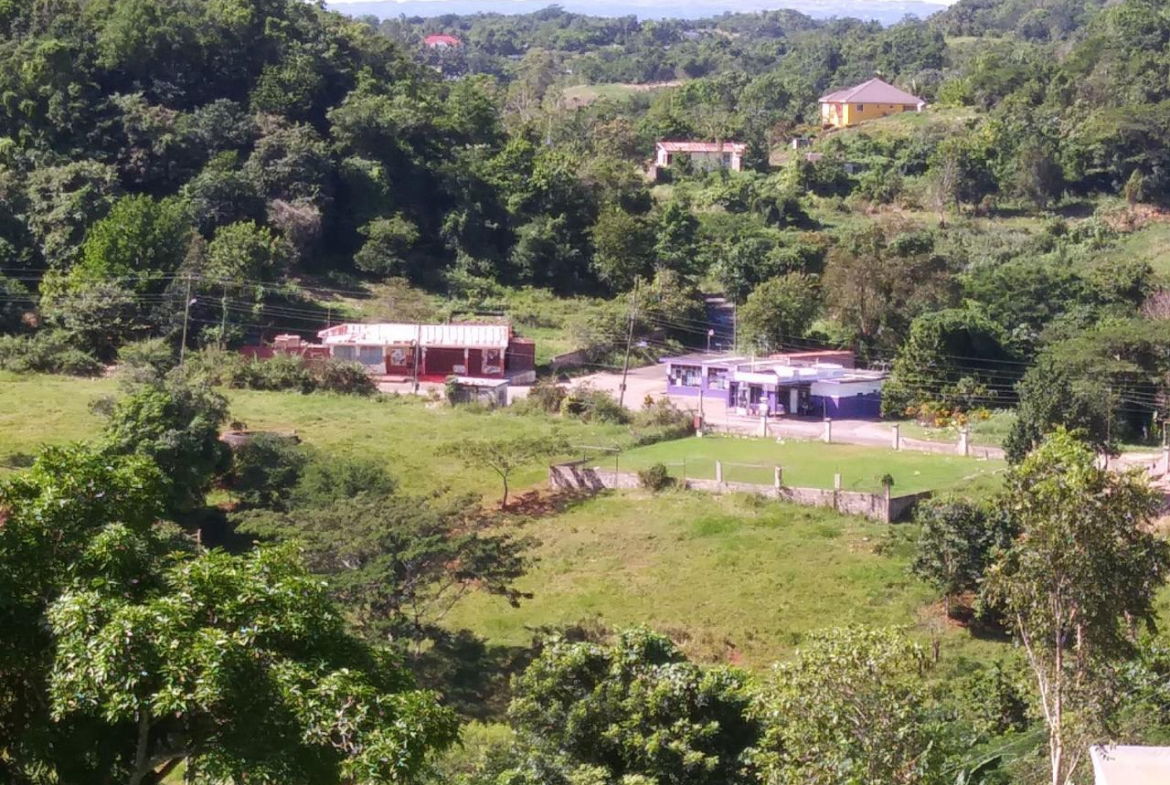 Twenty-Fifth image of Cedars Mocho in Mocho, Clarendon, Jamaica - property is For Sale