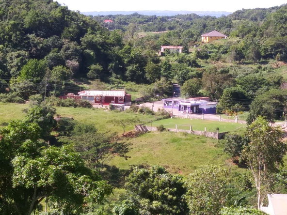 Twenty-Fifth image of Cedars Mocho in Mocho, Clarendon, Jamaica - property is For Sale