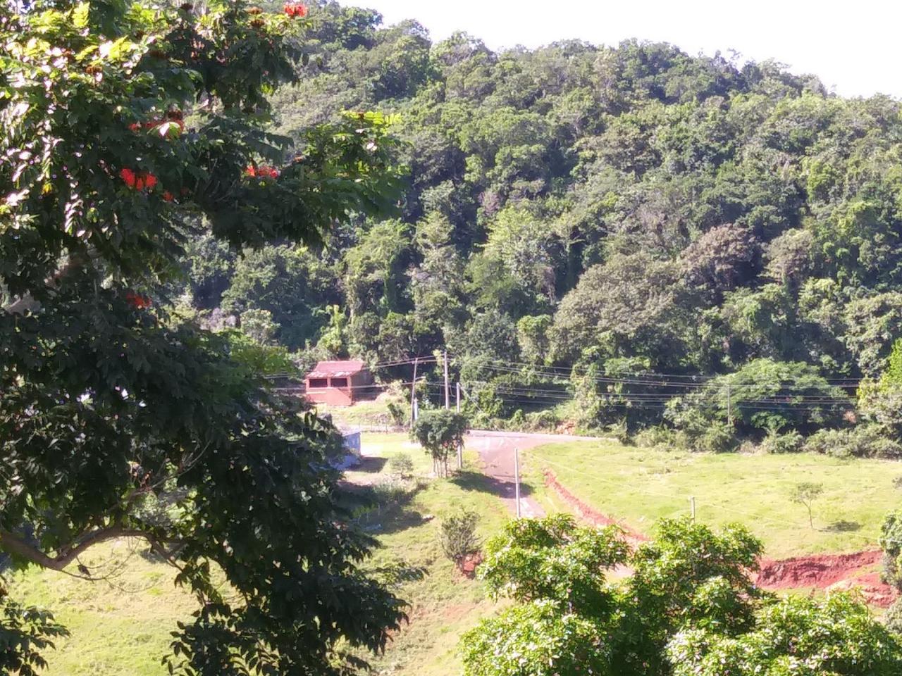 Twenty-Seventh image of Cedars Mocho in Mocho, Clarendon, Jamaica - property is For Sale