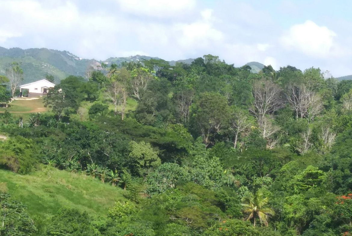 Twenty-Eighth image of Cedars Mocho in Mocho, Clarendon, Jamaica - property is For Sale