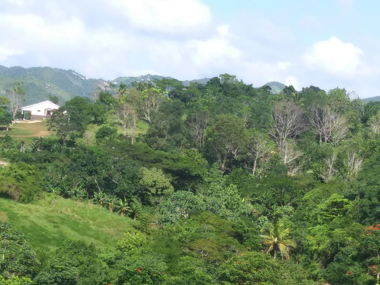 Twenty-Eighth image of Cedars Mocho in Mocho, Clarendon, Jamaica - property is For Sale