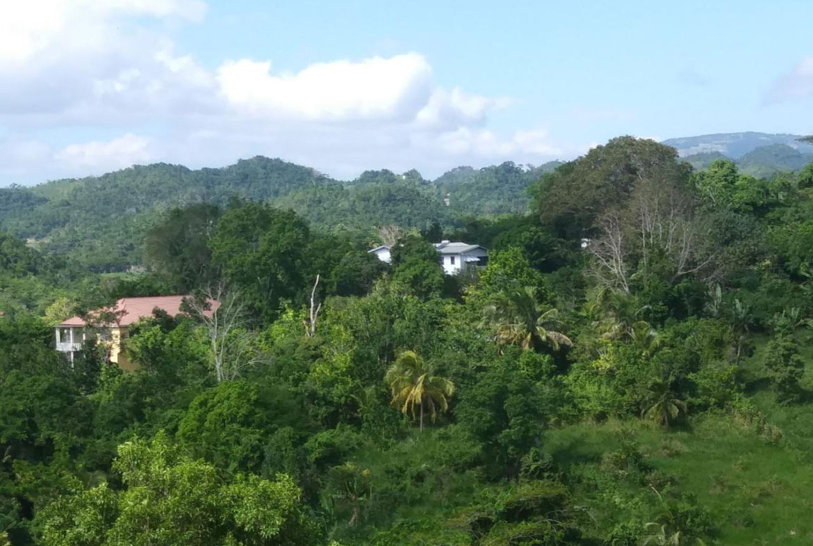 Twenty-Ninth image of Cedars Mocho in Mocho, Clarendon, Jamaica - property is For Sale