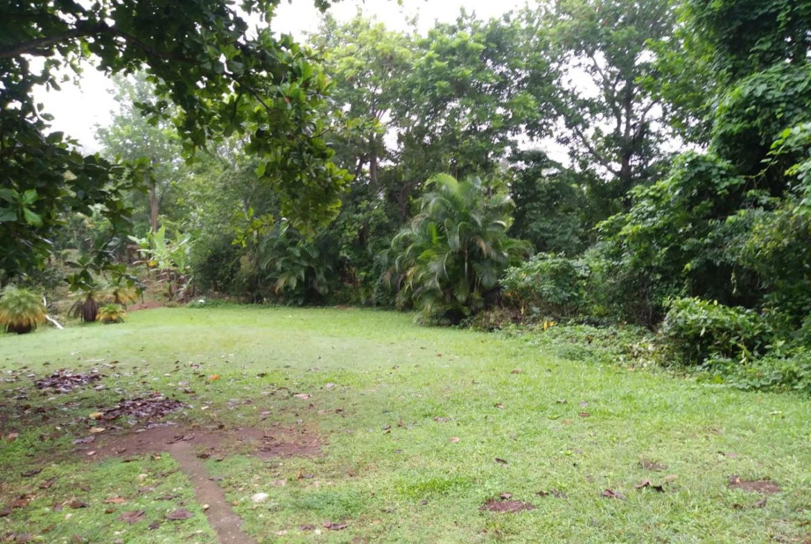 Fourth image of Cedars Mocho in Mocho, Clarendon, Jamaica - property is For Sale