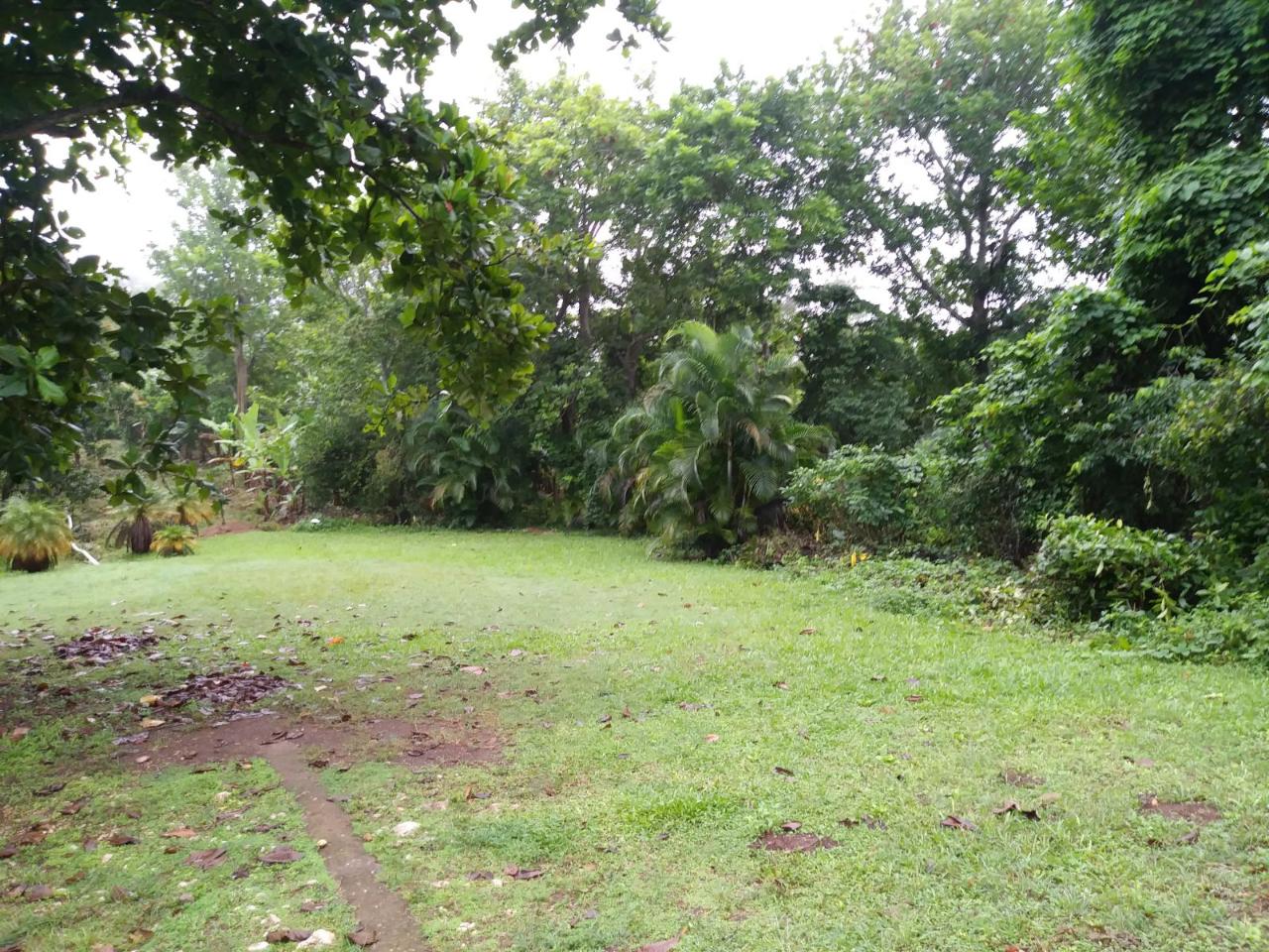 Fourth image of Cedars Mocho in Mocho, Clarendon, Jamaica - property is For Sale
