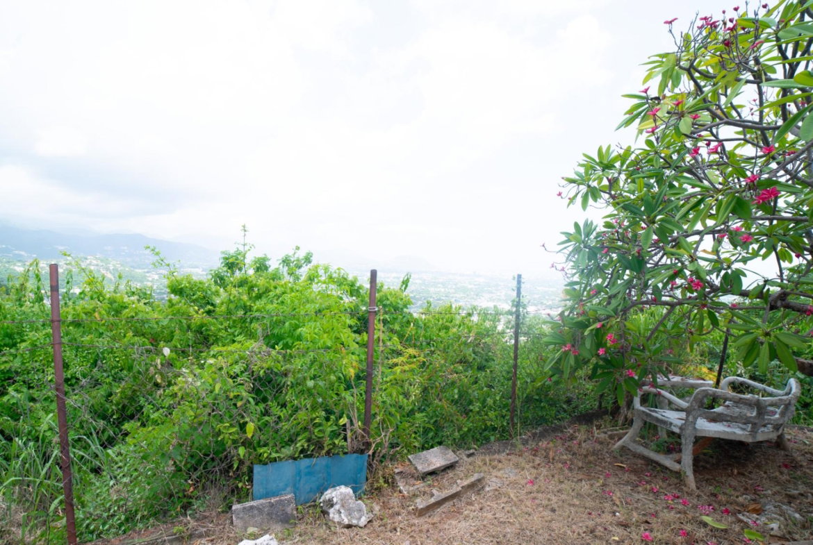 Thirteenth image of 1 a Melody Close in Forest Hills, St. Andrew, Jamaica - property is For Sale
