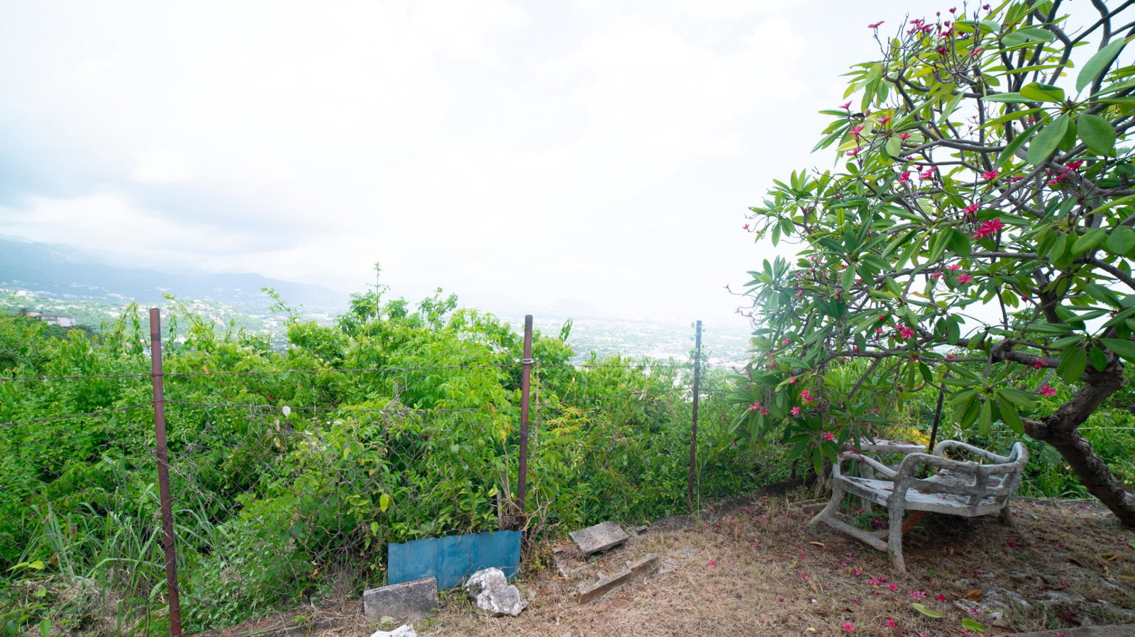 Thirteenth image of 1 a Melody Close in Forest Hills, St. Andrew, Jamaica - property is For Sale