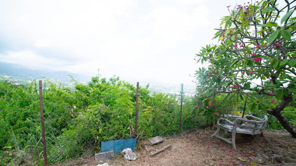 Thirteenth image of 1 a Melody Close in Forest Hills, St. Andrew, Jamaica - property is For Sale