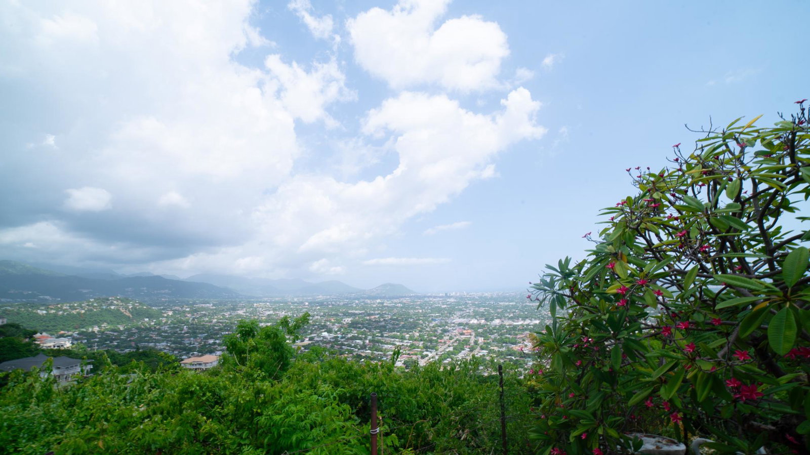 Fourteenth image of 1 a Melody Close in Forest Hills, St. Andrew, Jamaica - property is For Sale