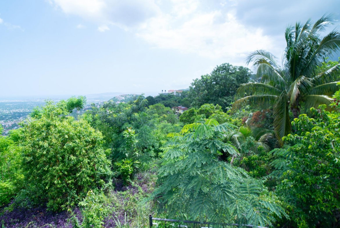 Sixteenth image of 1 a Melody Close in Forest Hills, St. Andrew, Jamaica - property is For Sale