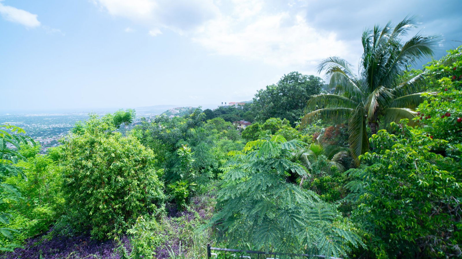 Sixteenth image of 1 a Melody Close in Forest Hills, St. Andrew, Jamaica - property is For Sale