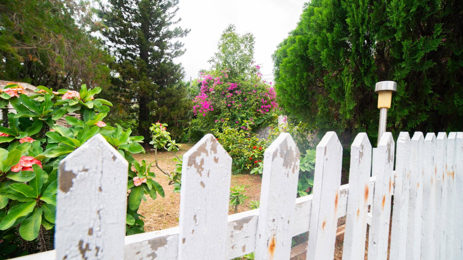 Sixth image of 1 a Melody Close in Forest Hills, St. Andrew, Jamaica - property is For Sale