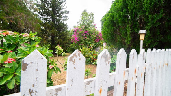 Sixth image of 1 a Melody Close in Forest Hills, St. Andrew, Jamaica - property is For Sale