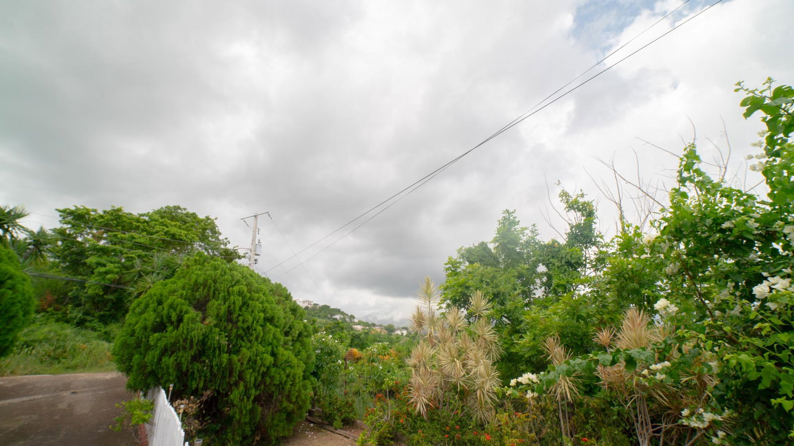 Seventh image of 1 a Melody Close in Forest Hills, St. Andrew, Jamaica - property is For Sale
