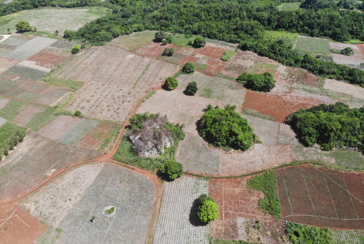 Second image of Rowes Corner , Manchester in Rowes Corner, Manchester, Jamaica - property is For Sale