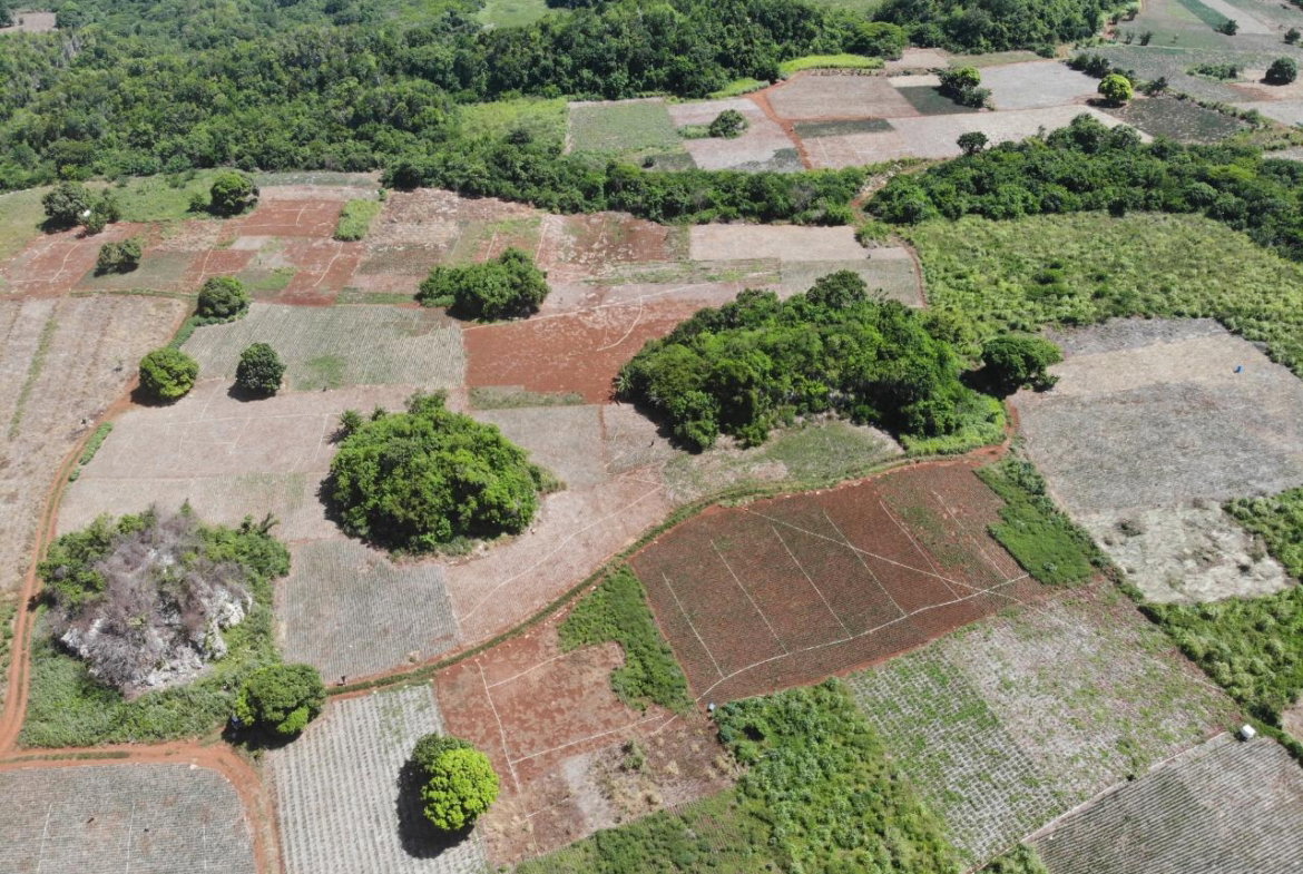 First image of Rowes Corner , Manchester in Rowes Corner, Manchester, Jamaica - property is For Sale