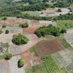 First image of Rowes Corner , Manchester in Rowes Corner, Manchester, Jamaica - property is For Sale