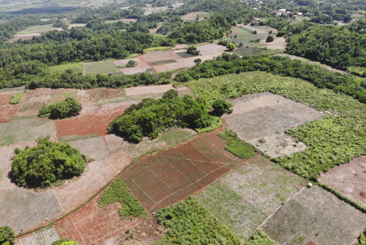 Third image of Rowes Corner , Manchester in Rowes Corner, Manchester, Jamaica - property is For Sale