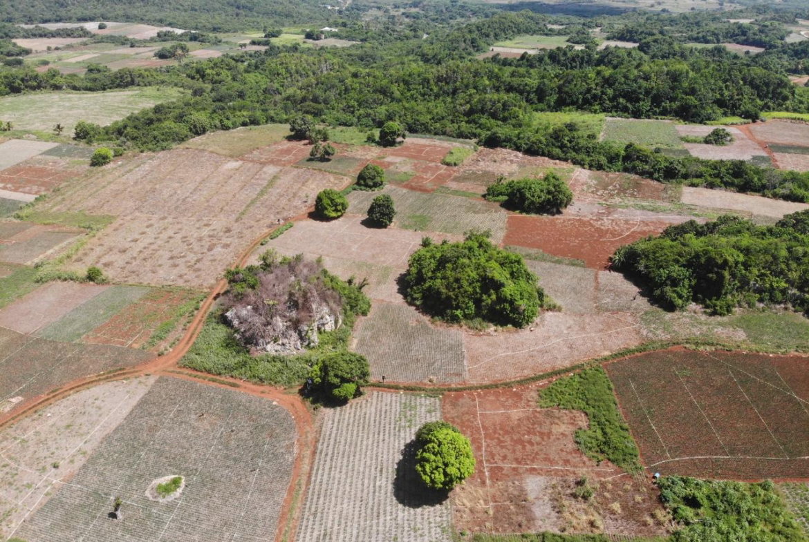 Fourth image of Rowes Corner , Manchester in Rowes Corner, Manchester, Jamaica - property is For Sale