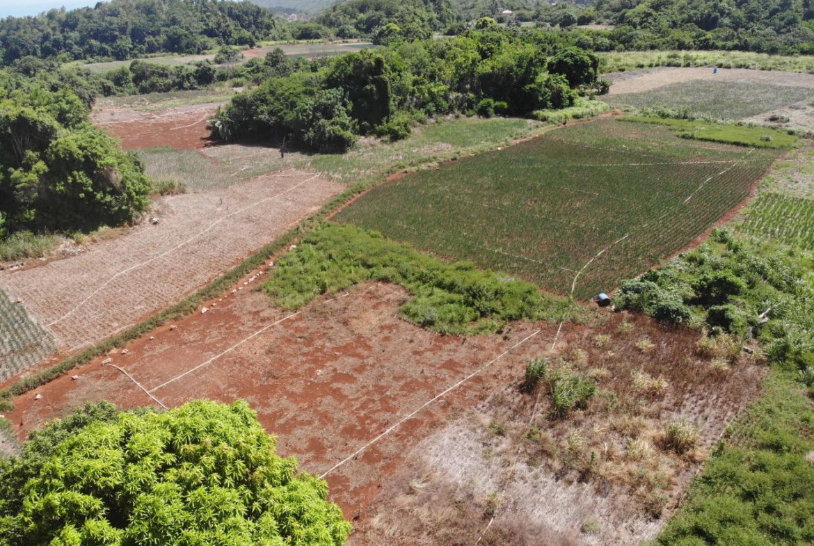 Fifth image of Rowes Corner , Manchester in Rowes Corner, Manchester, Jamaica - property is For Sale