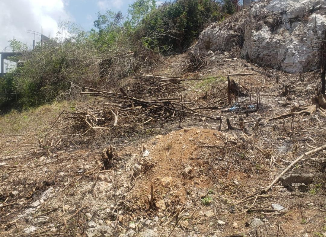 Second image of 1088 Whitehall in Negril, Westmoreland, Jamaica - property is For Sale