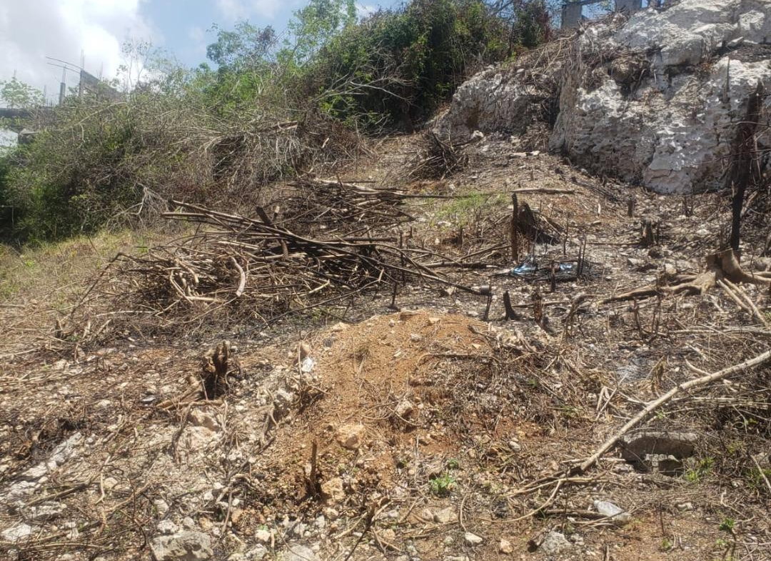 First image of 1088 Whitehall in Negril, Westmoreland, Jamaica - property is For Sale