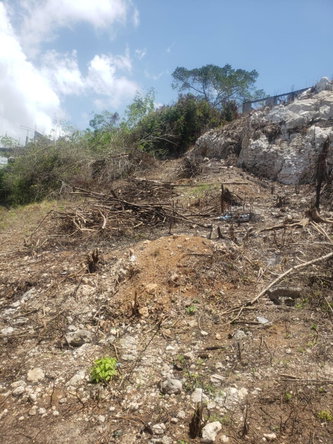 First image of 1088 Whitehall in Negril, Westmoreland, Jamaica - property is For Sale