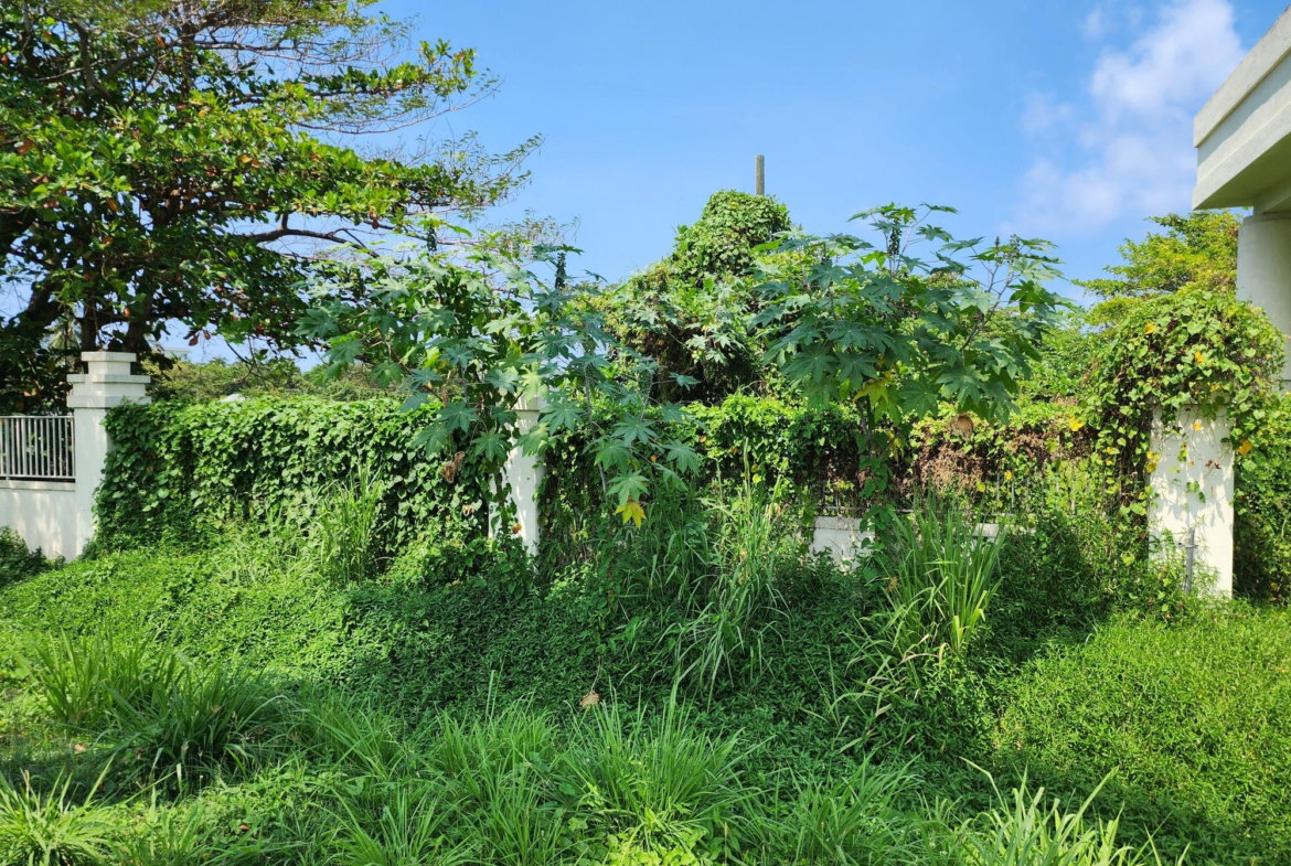 Second image of Rose Hall, Cinnamon Hill, in Montego Bay, St. James, Jamaica - property is For Sale