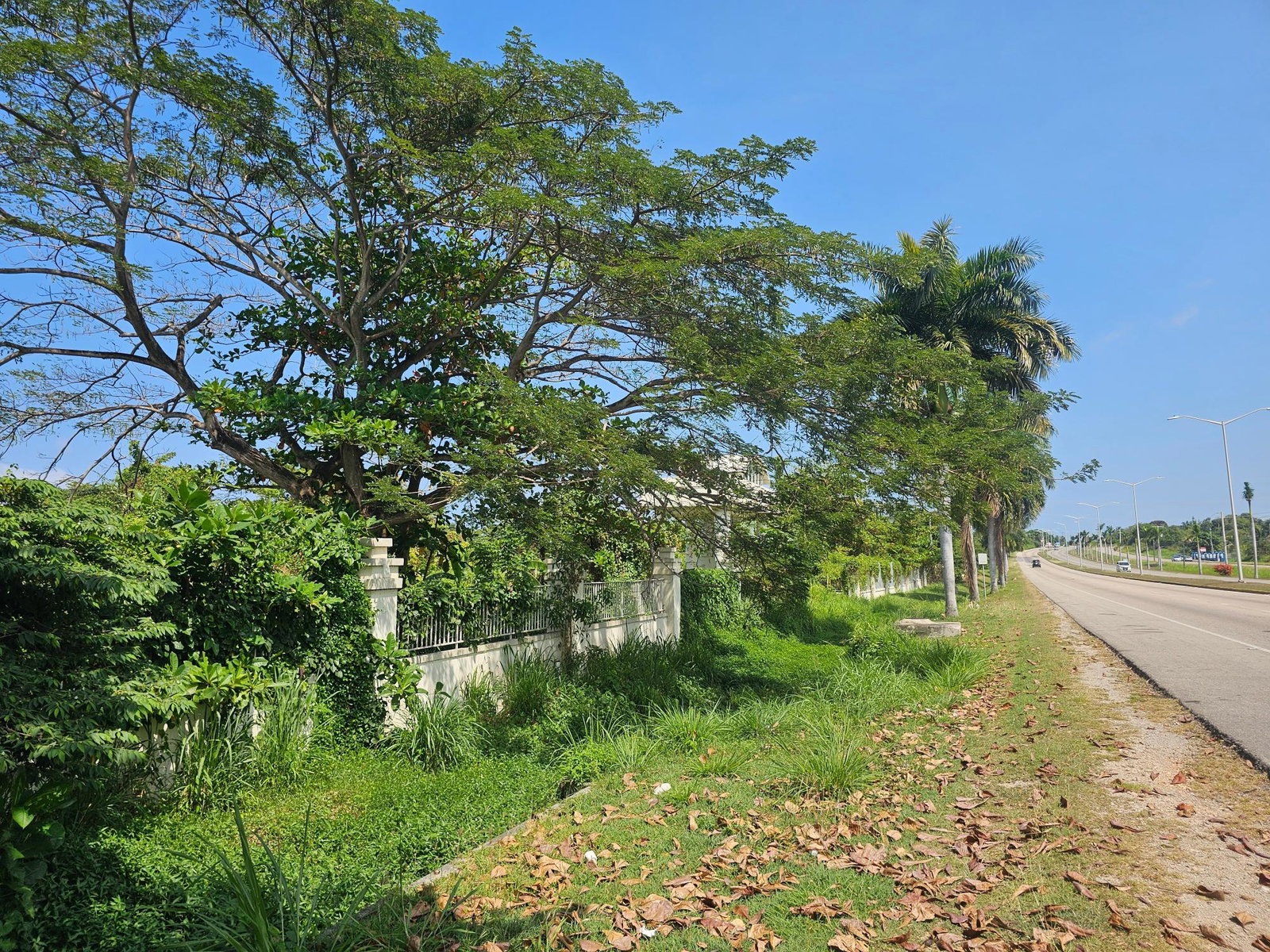 Stunning-Beachfront-Property-for-Sale-in-Montego-Bay-Jamaica Eleventh image of Rose Hall, Cinnamon Hill, in Montego Bay, St. James, Jamaica - property is For Sale