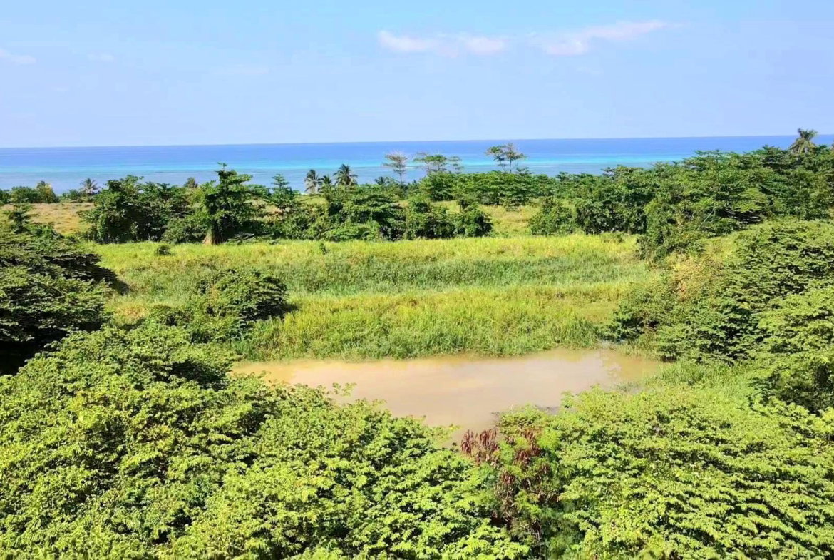 Nineteenth image of Rose Hall, Cinnamon Hill, in Montego Bay, St. James, Jamaica - property is For Sale