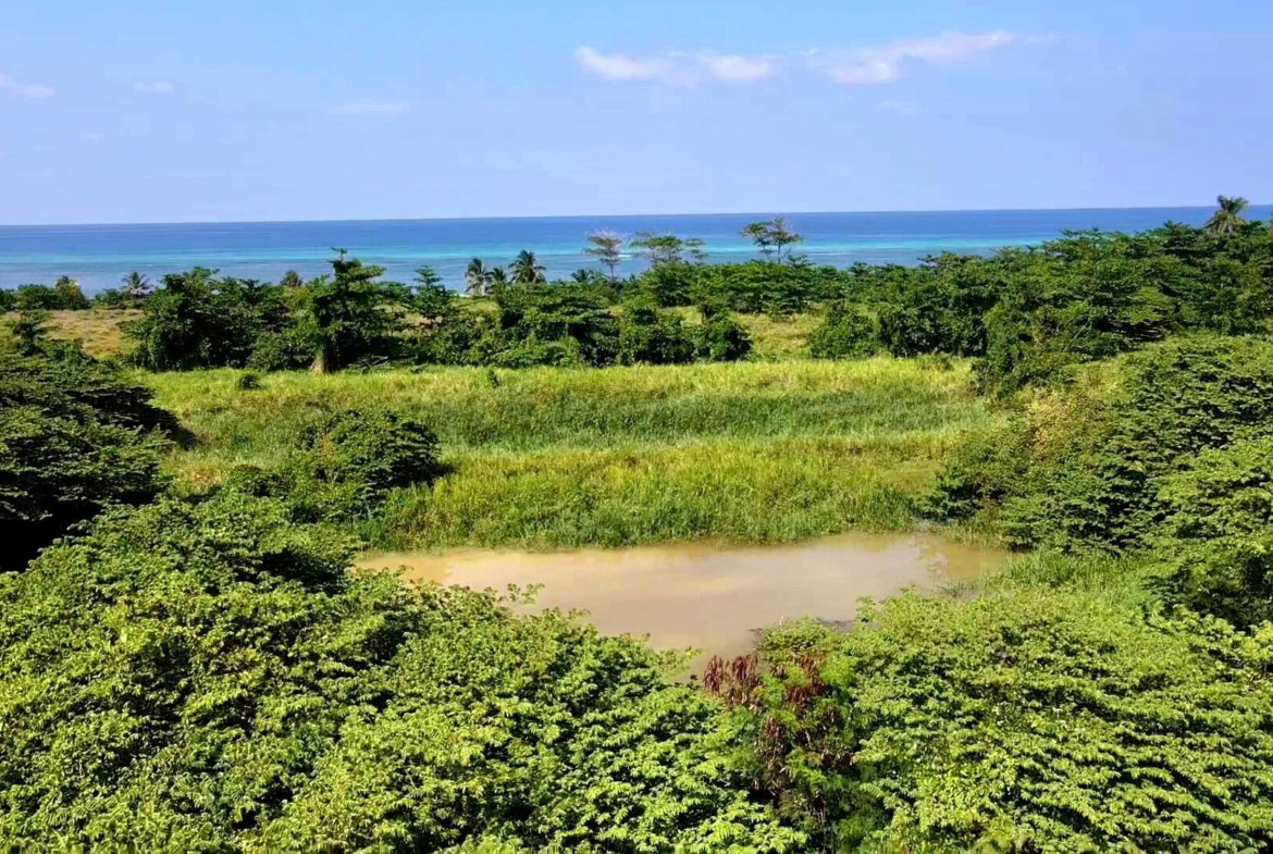 Twenty-Fifth image of Rose Hall, Cinnamon Hill, in Montego Bay, St. James, Jamaica - property is For Sale
