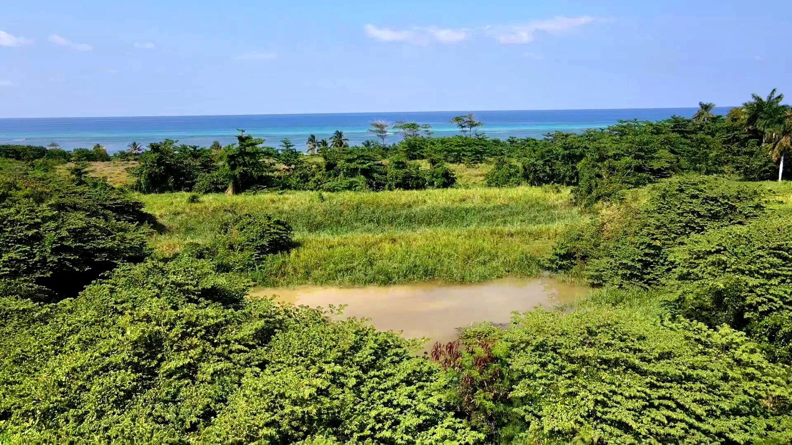 Stunning-Beachfront-Property-for-Sale-in-Montego-Bay-Jamaica Twenty-Fifth image of Rose Hall, Cinnamon Hill, in Montego Bay, St. James, Jamaica - property is For Sale