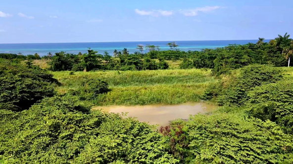 Twenty-Fifth image of Rose Hall, Cinnamon Hill, in Montego Bay, St. James, Jamaica - property is For Sale