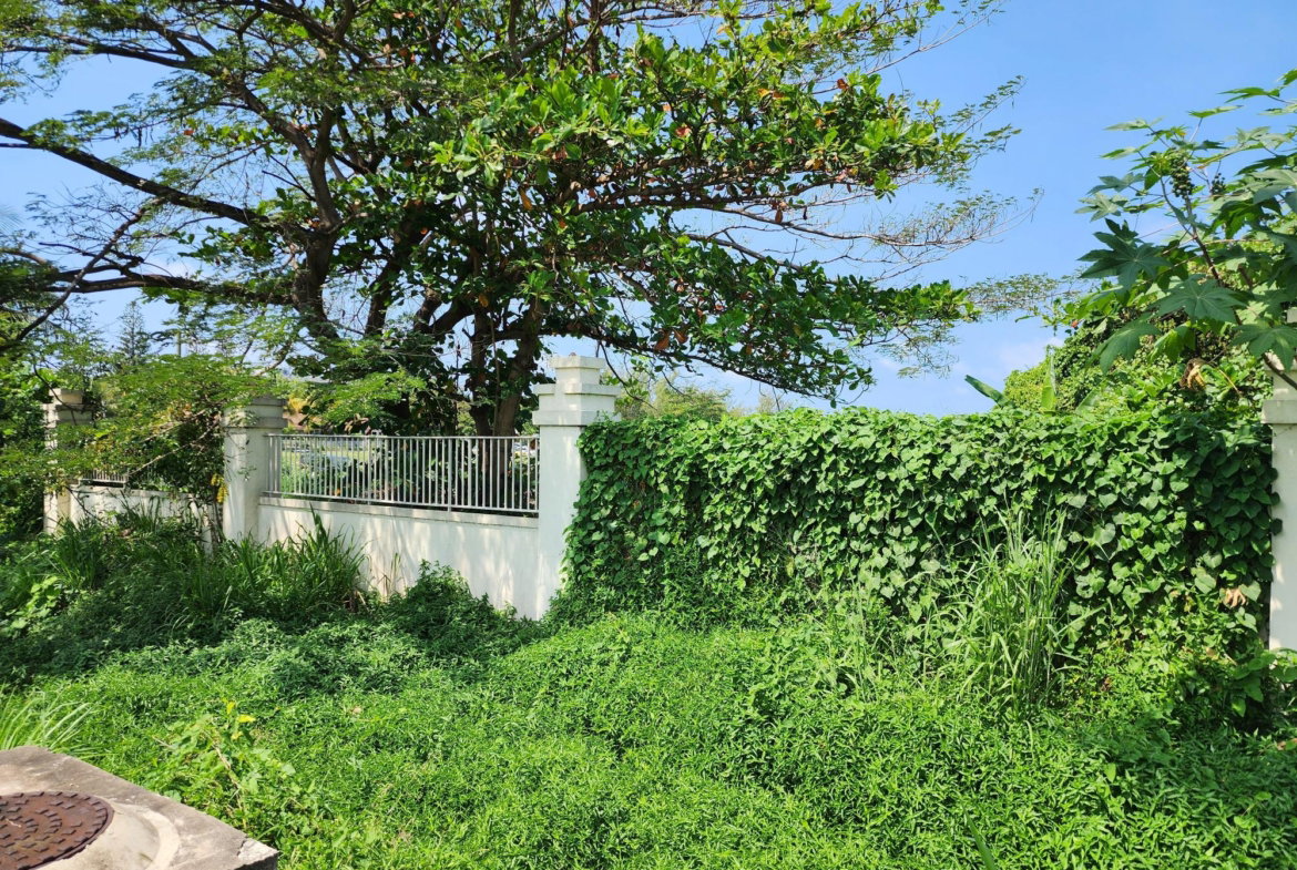 Fourth image of Rose Hall, Cinnamon Hill, in Montego Bay, St. James, Jamaica - property is For Sale