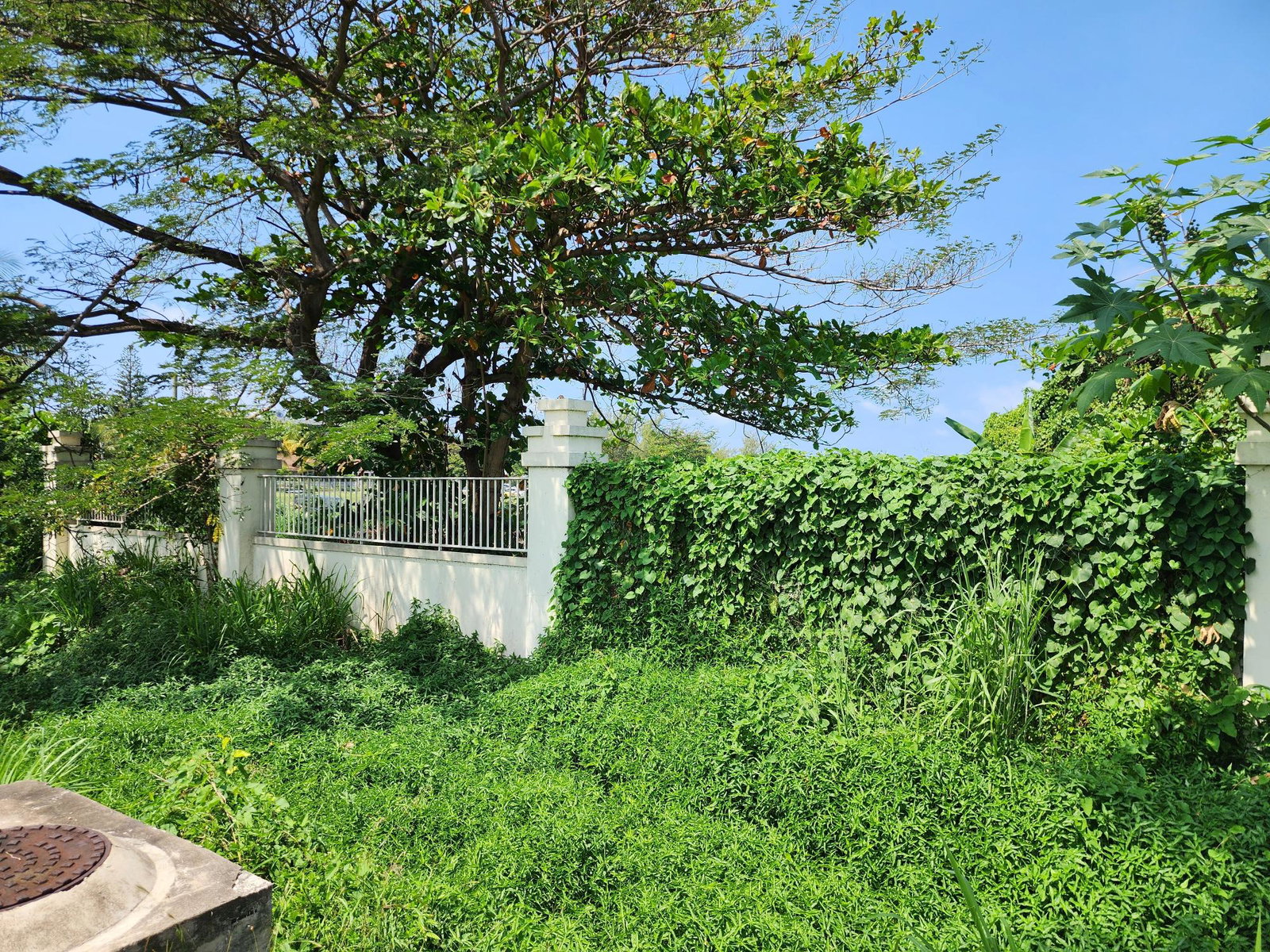 Stunning-Beachfront-Property-for-Sale-in-Montego-Bay-Jamaica Fourth image of Rose Hall, Cinnamon Hill, in Montego Bay, St. James, Jamaica - property is For Sale