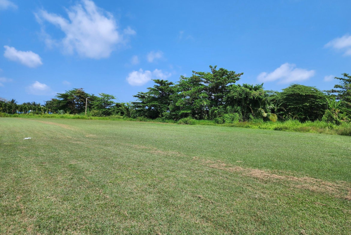 Fifth image of Rose Hall, Cinnamon Hill, in Montego Bay, St. James, Jamaica - property is For Sale