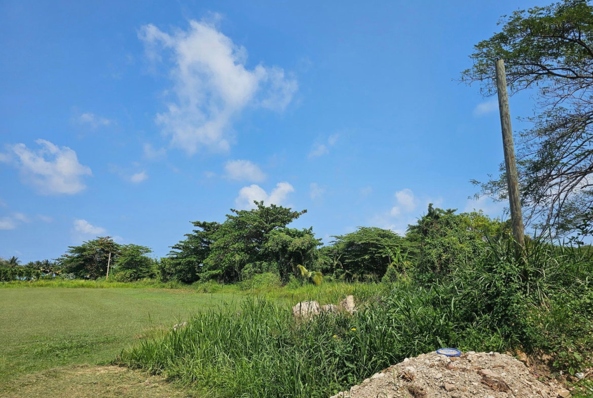Seventh image of Rose Hall, Cinnamon Hill, in Montego Bay, St. James, Jamaica - property is For Sale