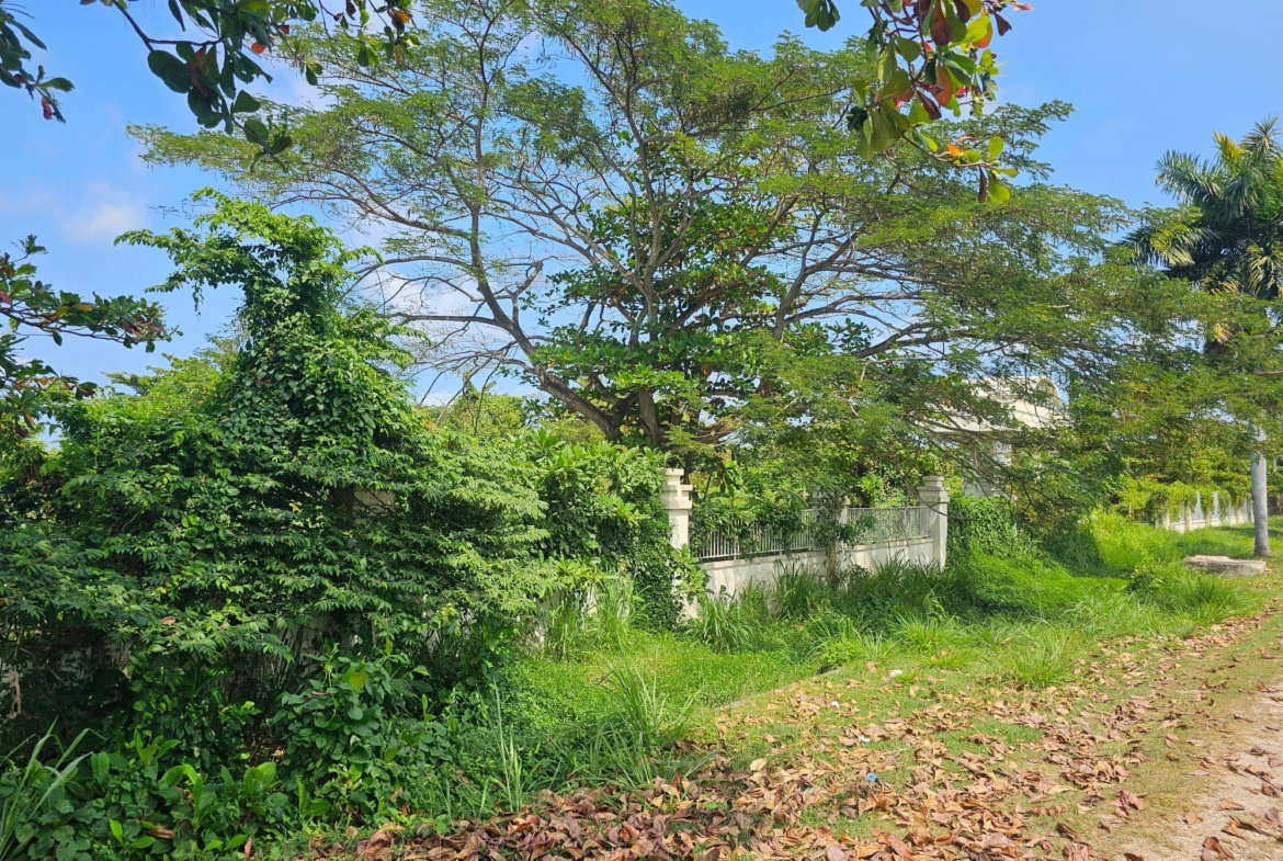 Ninth image of Rose Hall, Cinnamon Hill, in Montego Bay, St. James, Jamaica - property is For Sale