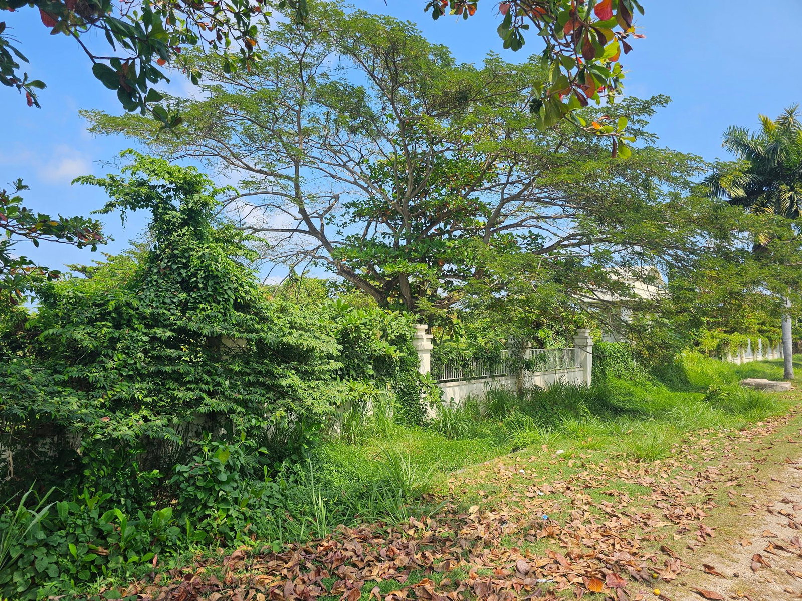 Stunning-Beachfront-Property-for-Sale-in-Montego-Bay-Jamaica Ninth image of Rose Hall, Cinnamon Hill, in Montego Bay, St. James, Jamaica - property is For Sale