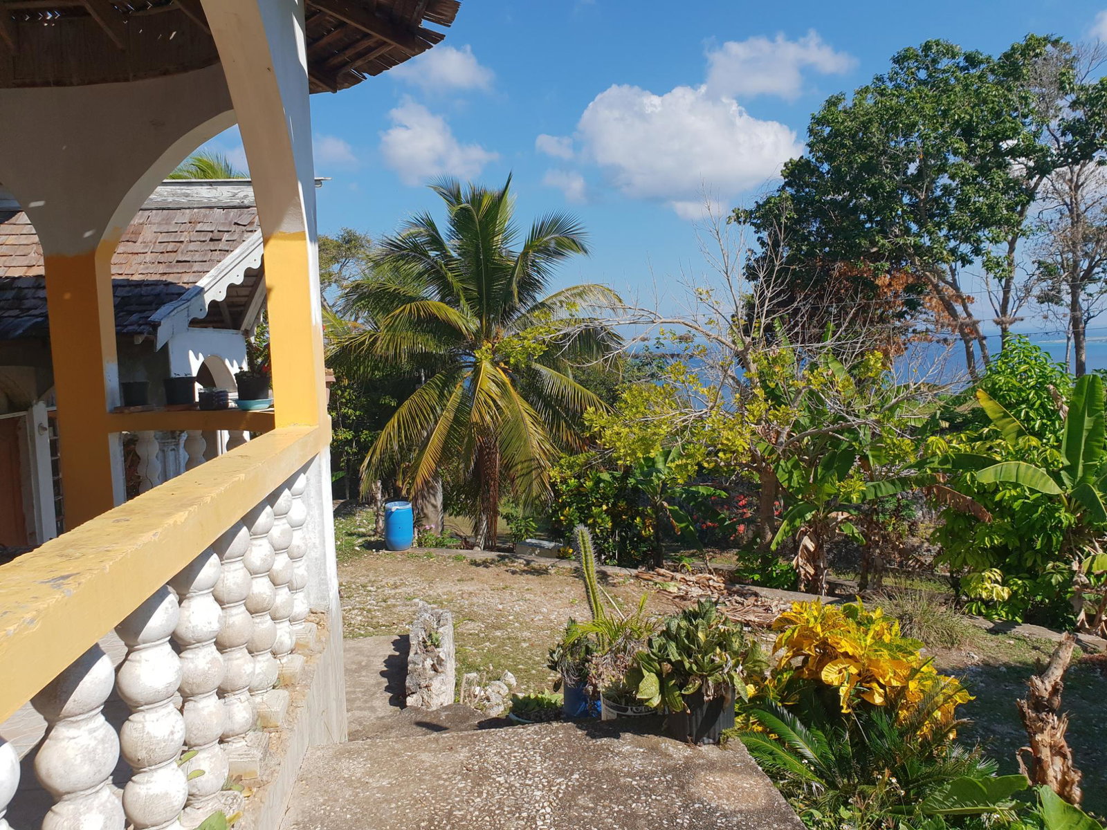 Ninth image of Simone Street, Unity Hall in Unity Hall, St. James, Jamaica - property is For Sale