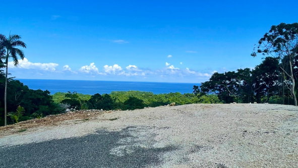 Second image of Lot 341 San San in SAN SAN, Portland, Jamaica - property is For Sale