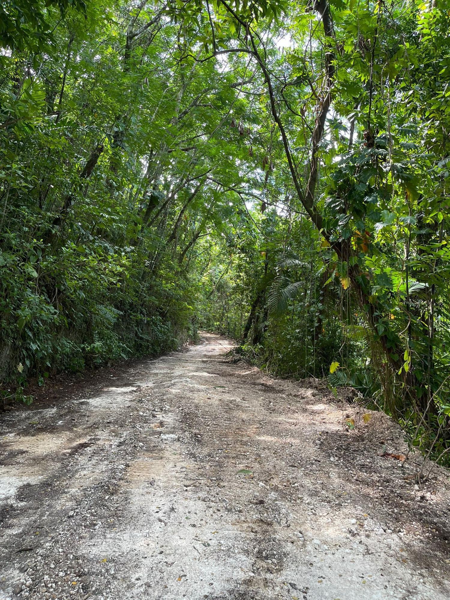 Twelfth image of Lot 341 San San in SAN SAN, Portland, Jamaica - property is For Sale